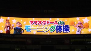 IMGP5866