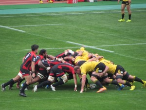 IMG_1510