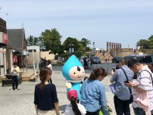 IMG_2501