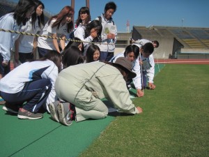 この時季は冬芝の播種直後