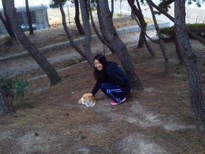 松林にいた猫と戯れています