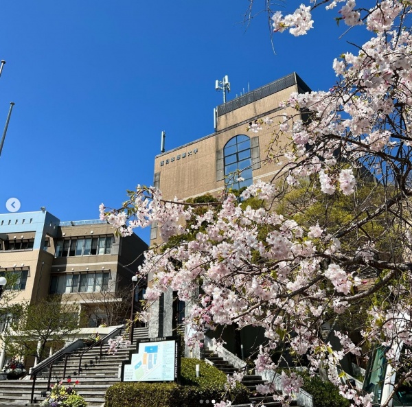 入学おめでとうございます🌸