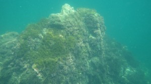まるで陸上での山のようです